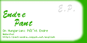 endre pant business card